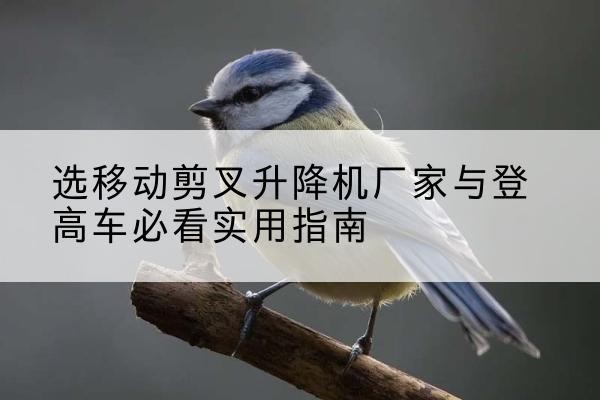 石景山区电动升降机厂家-选移动剪叉升降机厂家与登高车必看实用指南