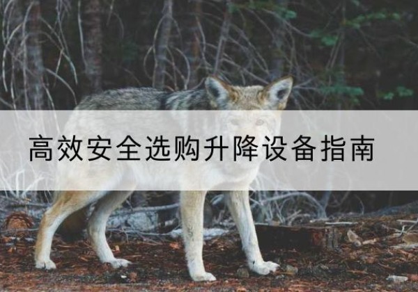 石景山区升降货梯厂家推荐-*安全选购升降设备指南